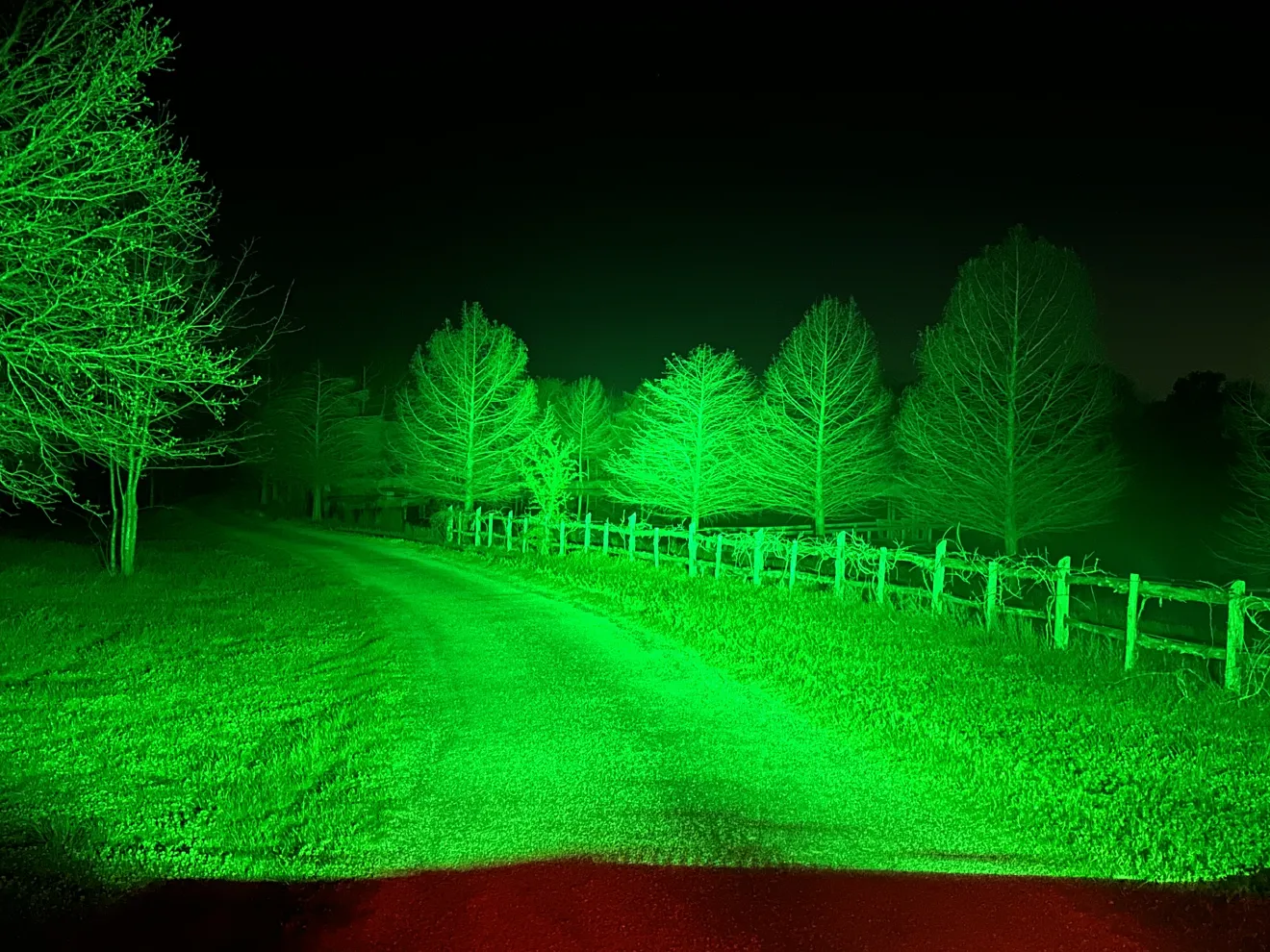 Green LEDs